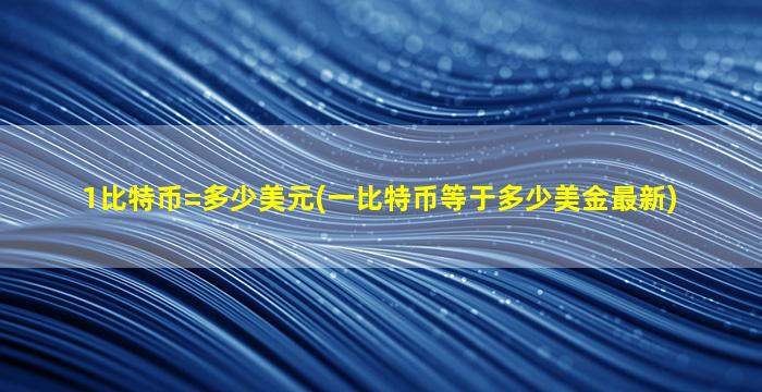 1比特币=多少美元(一比特币等于多少美金最新)