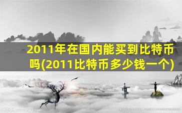 2011年在国内能买到比特币吗(2011比特币多少钱一个)