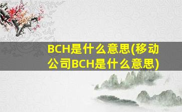 BCH是什么意思(移动公司BCH是什么意思)