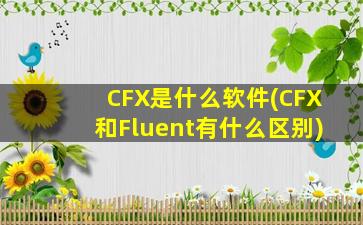 CFX是什么软件(CFX和Fluent有什么区别)