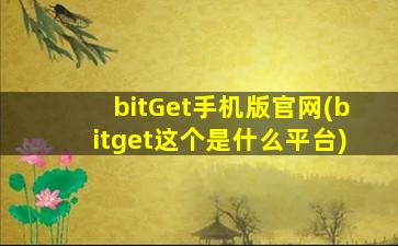 bitGet手机版官网(bitget这个是什么平台)