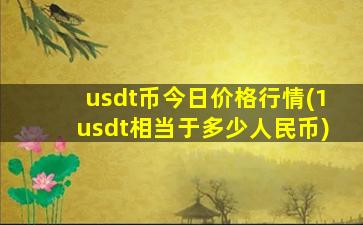 usdt币今日价格行情(1usdt相当于多少人民币)