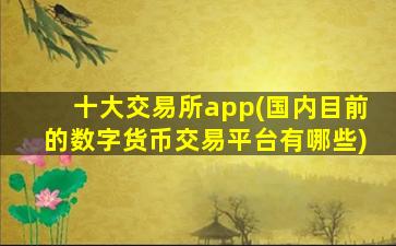 十大交易所app(国内目前的数字货币交易平台有哪些)