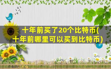 十年前买了20个比特币(十年前哪里可以买到比特币)
