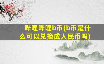 哔哩哔哩b币(b币是什么可以兑换成人民币吗)