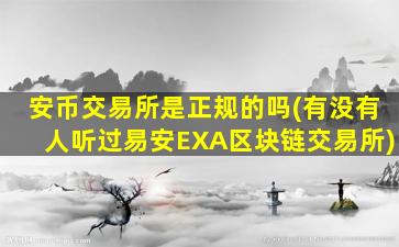 安币交易所是正规的吗(有没有人听过易安EXA区块链交易所)