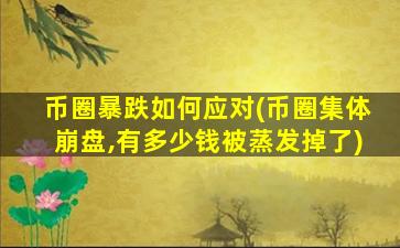 币圈暴跌如何应对(币圈集体崩盘,有多少钱被蒸发掉了)