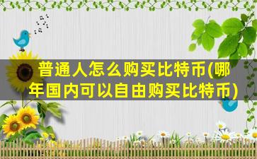 普通人怎么购买比特币(哪年国内可以自由购买比特币)