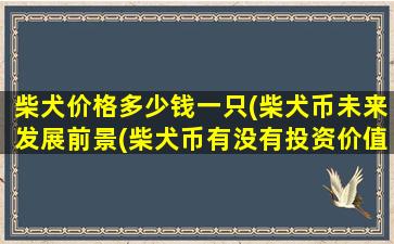 柴犬价格多少钱一只(柴犬币未来发展前景(柴犬币有没有投资价值降准降息))