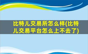 比特儿交易所怎么样(比特儿交易平台怎么上不去了)