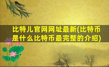 比特儿官网网址最新(比特币是什么比特币最完整的介绍)