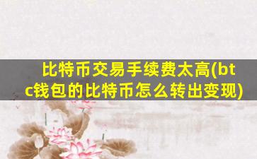 比特币交易手续费太高(btc钱包的比特币怎么转出变现)