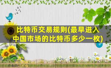 比特币交易规则(最早进入中国市场的比特币多少一枚)