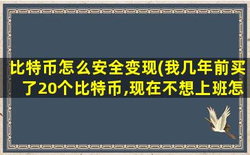 比特币怎么安全变现(我几年前买了20个比特币,现在不想上班怎么办)