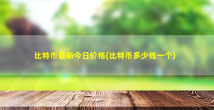 比特币最新今日价格(比特币多少钱一个)