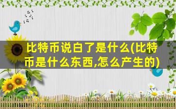 比特币说白了是什么(比特币是什么东西,怎么产生的)