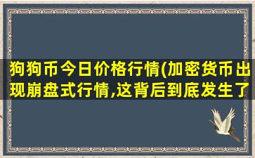 狗狗币今日价格行情(加密货币出现崩盘式行情,这背后到底发生了什么)