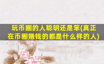 玩币圈的人聪明还是笨(真正在币圈赚钱的都是什么样的人)