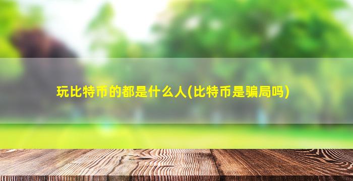 玩比特币的都是什么人(比特币是骗局吗)