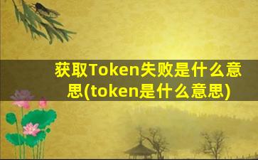 获取Token失败是什么意思(token是什么意思)